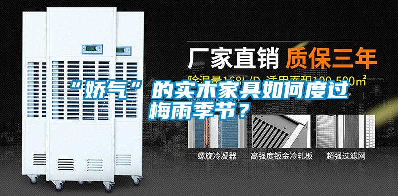 “嬌氣”的實(shí)木家具如何度過梅雨季節(jié)?