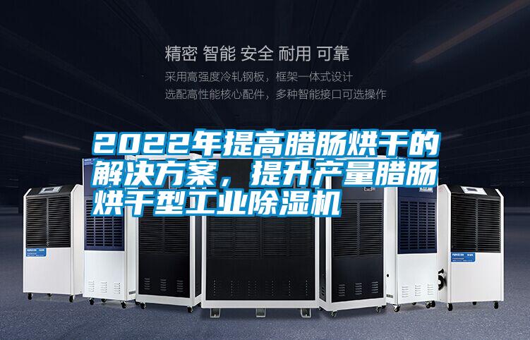 2022年提高臘腸烘干的解決方案，提升產量臘腸烘干型工業除濕機