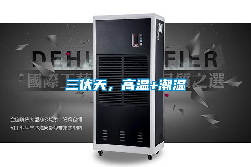 三伏天,高溫+潮濕