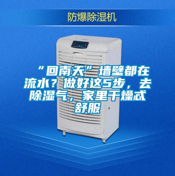 “回南天”墻壁都在流水？做好這5步，去除濕氣，家里干燥忒舒服