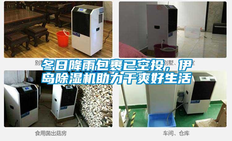 冬日降雨包裹已空投，伊島除濕機助力干爽好生活