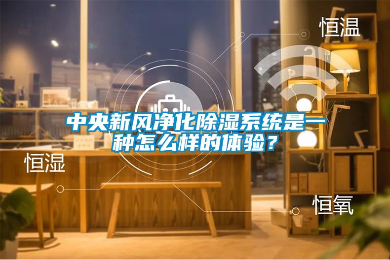中央新風凈化除濕系統是一種怎么樣的體驗?