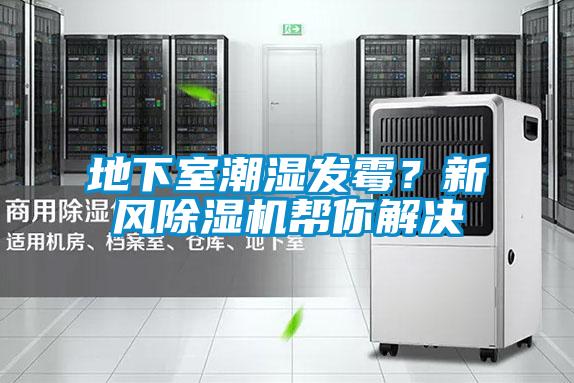 地下室潮濕發(fā)霉？新風除濕機幫你解決