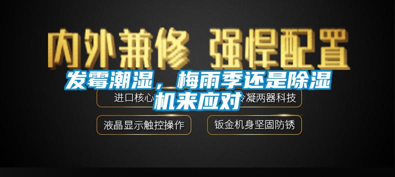 發霉潮濕，梅雨季還是除濕機來應對