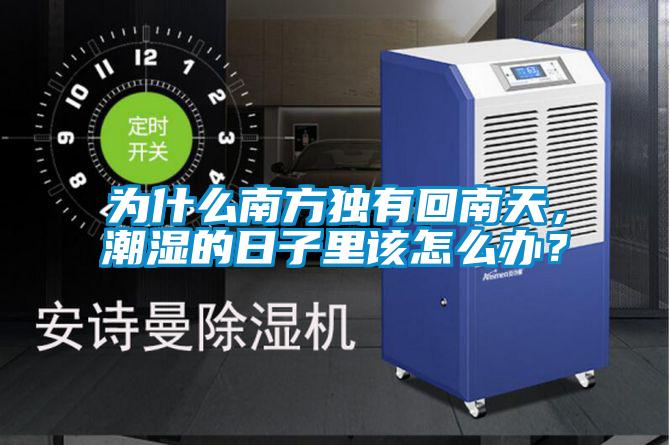 為什么南方獨(dú)有回南天,潮濕的日子里該怎么辦?