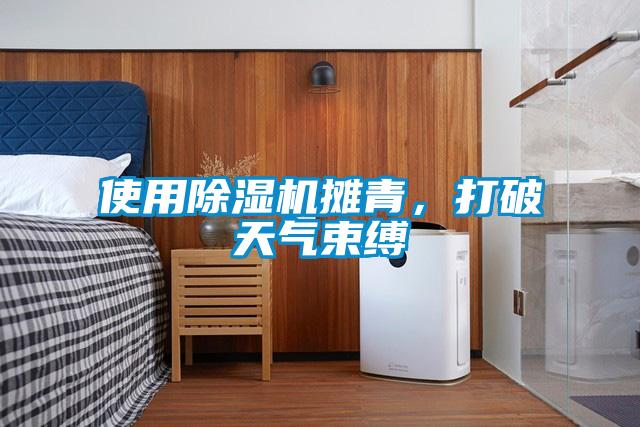 使用除濕機攤青，打破天氣束縛