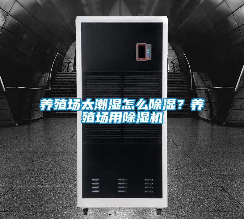 養殖場太潮濕怎么除濕?養殖場用除濕機