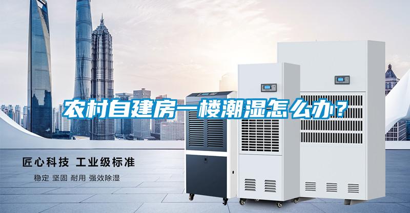 農村自建房一樓潮濕怎么辦？