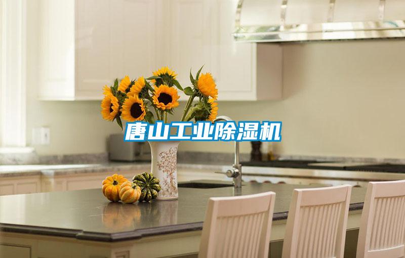 唐山工業除濕機