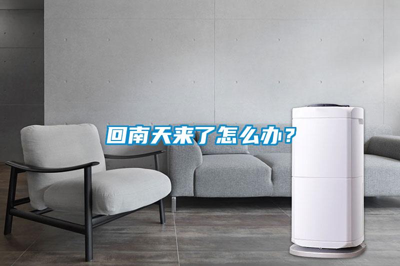 回南天來了怎么辦？