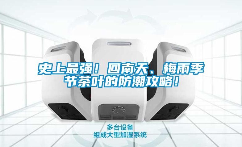 史上最強！回南天、梅雨季節茶葉的防潮攻略！