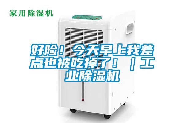 好險！今天早上我差點也被吃掉了?。I除濕機