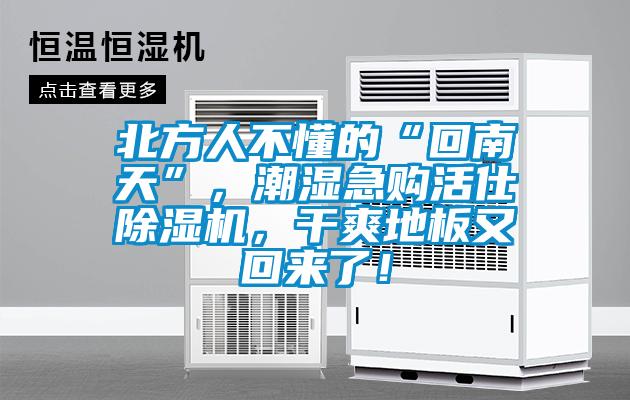 北方人不懂的“回南天”,潮濕急購活仕除濕機(jī),干爽地板又回來了!