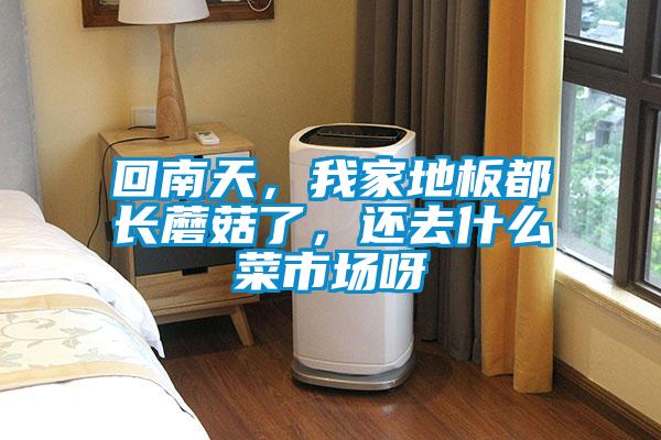 回南天，我家地板都長蘑菇了，還去什么菜市場呀