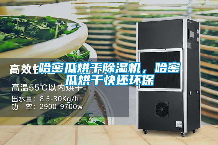 哈密瓜烘干除濕機(jī)，哈密瓜烘干快還環(huán)保