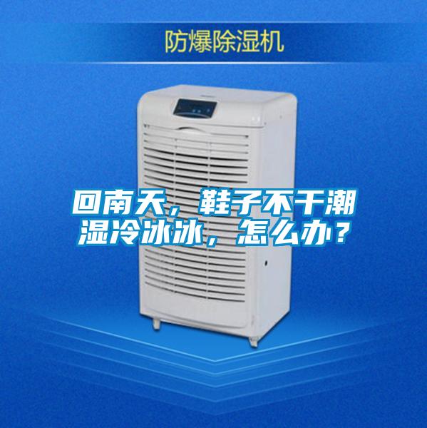 回南天,鞋子不干潮濕冷冰冰,怎么辦?