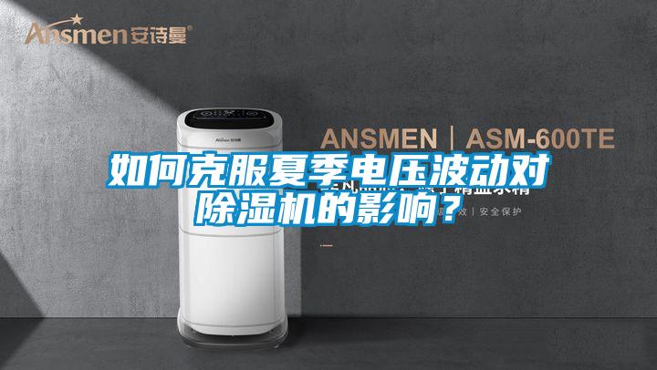 如何克服夏季電壓波動對除濕機的影響?