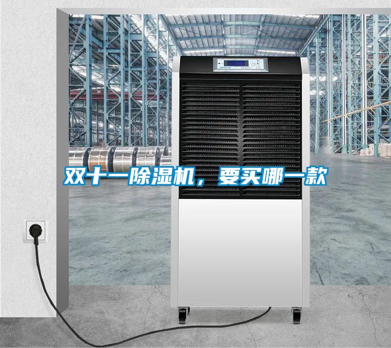 雙十一除濕機(jī)，要買哪一款