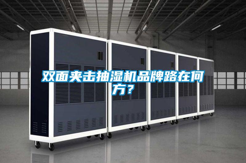 雙面夾擊抽濕機品牌路在何方?
