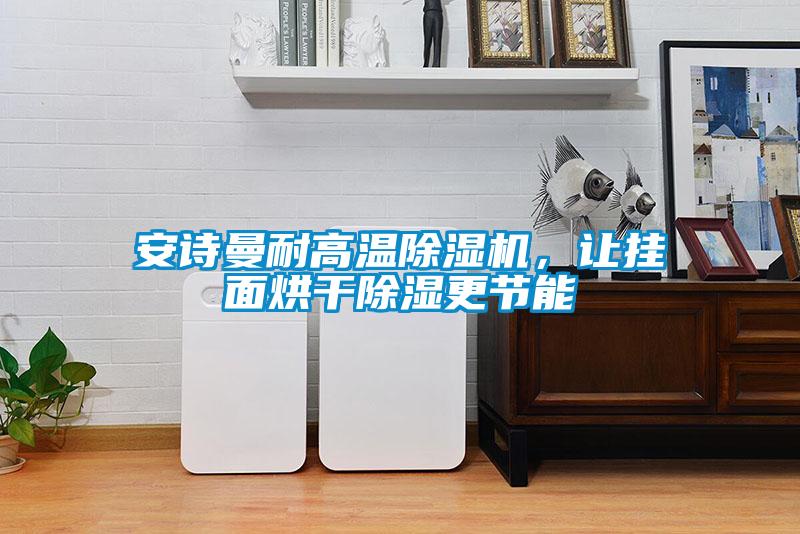安詩曼耐高溫除濕機,讓掛面烘干除濕更節能