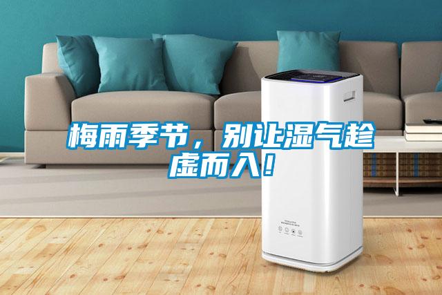 梅雨季節，別讓濕氣趁虛而入！