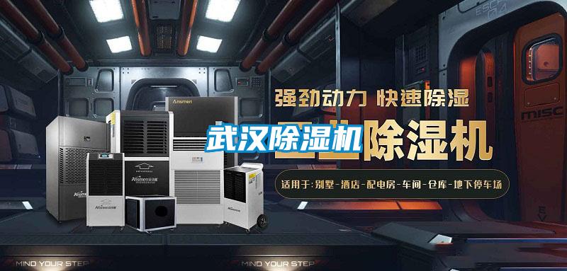 武漢除濕機(jī)