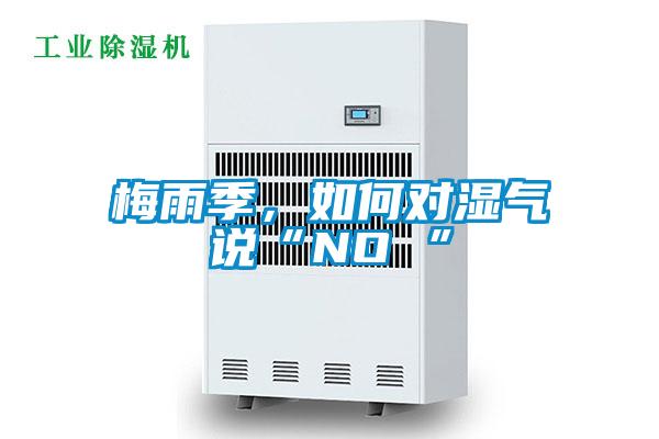 梅雨季,如何對(duì)濕氣說“NO ”