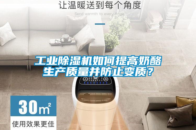 工業除濕機如何提高奶酪生產質量并防止變質?