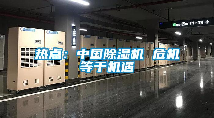 熱點:中國除濕機 危機等于機遇
