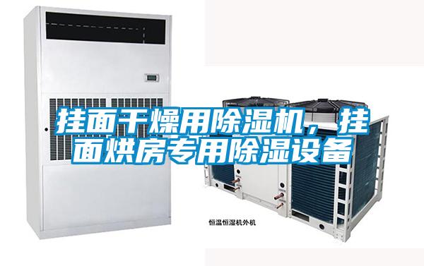掛面干燥用除濕機(jī)，掛面烘房專用除濕設(shè)備