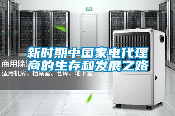 新時期中國家電代理商的生存和發展之路