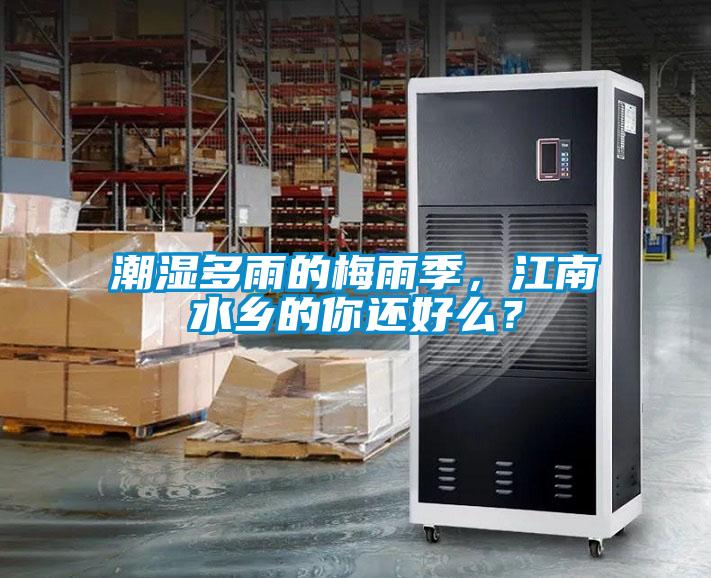 潮濕多雨的梅雨季，江南水鄉的你還好么？