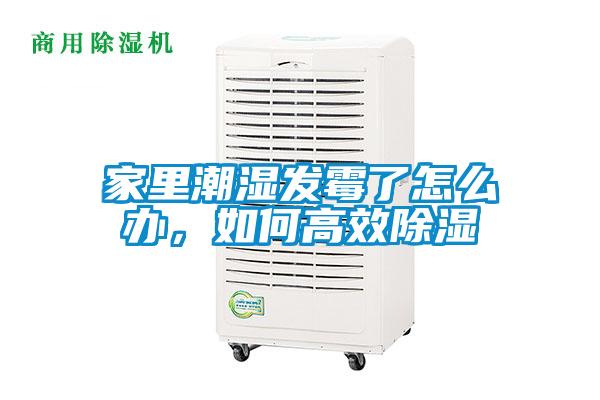 家里潮濕發霉了怎么辦,如何高效除濕