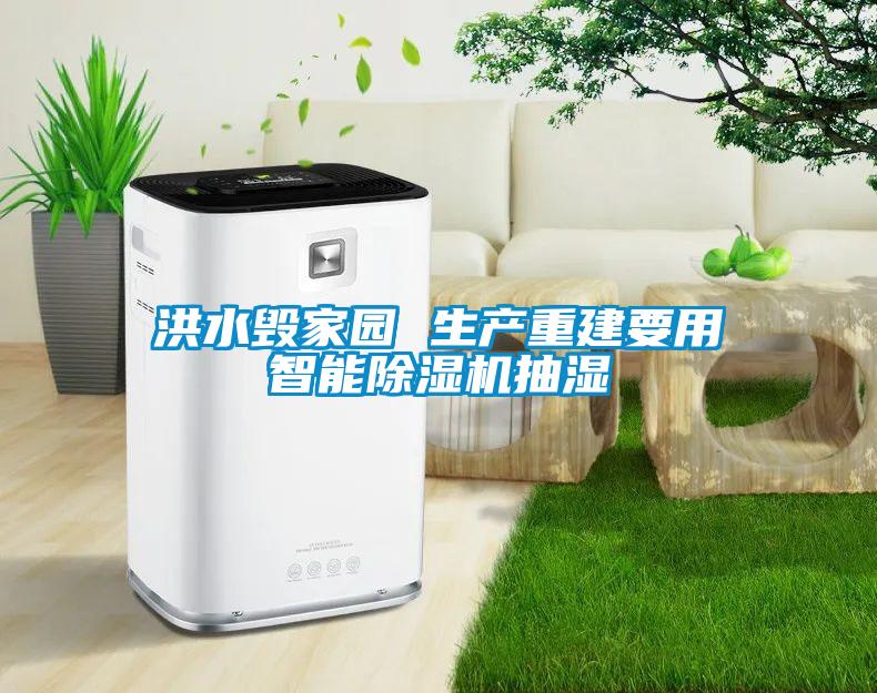 洪水毀家園 生產(chǎn)重建要用智能除濕機(jī)抽濕