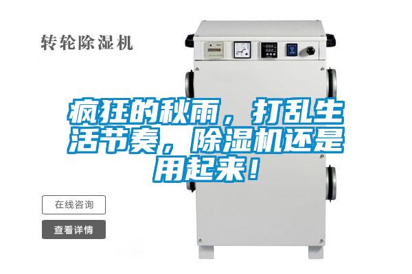 瘋狂的秋雨，打亂生活節奏，除濕機還是用起來！