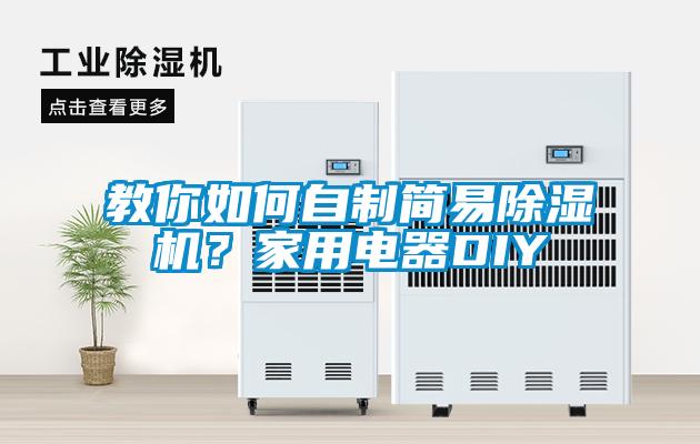 教你如何自制簡易除濕機？家用電器DIY