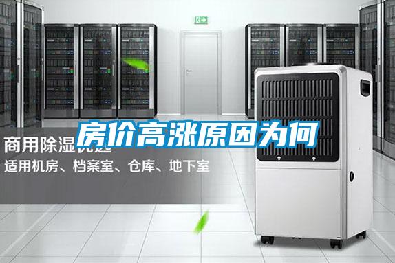 房?jī)r(jià)高漲原因?yàn)楹?></div>
								<div   id=