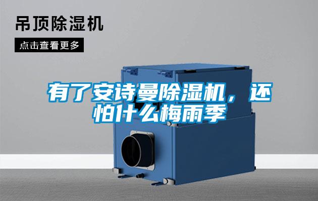 有了安詩(shī)曼除濕機(jī)，還怕什么梅雨季