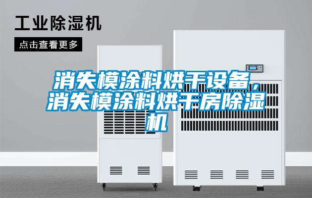 消失模涂料烘干設(shè)備，消失模涂料烘干房除濕機