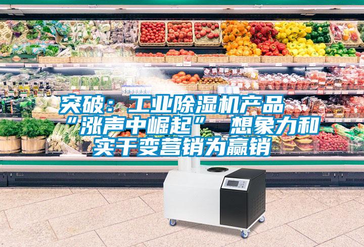 突破:工業除濕機產品“漲聲中崛起” 想象力和實干變營銷為贏銷