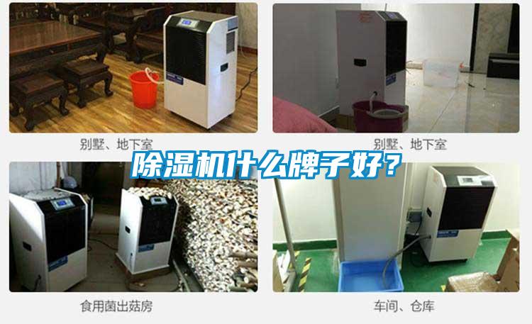 除濕機什么牌子好？