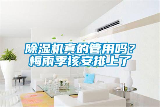 除濕機(jī)真的管用嗎？梅雨季該安排上了