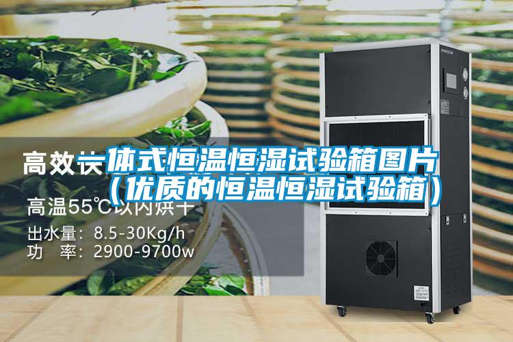 一體式恒溫恒濕試驗箱圖片(優(yōu)質(zhì)的恒溫恒濕試驗箱)
