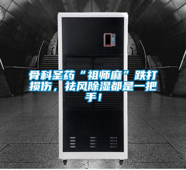 骨科圣藥“祖師麻”跌打損傷，祛風除濕都是一把手！