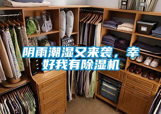 陰雨潮濕又來(lái)襲，幸好我有除濕機(jī)