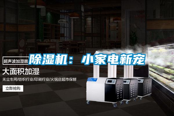 除濕機(jī):小家電新寵