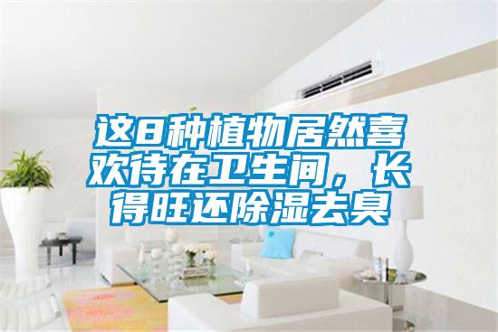 這8種植物居然喜歡待在衛生間，長得旺還除濕去臭