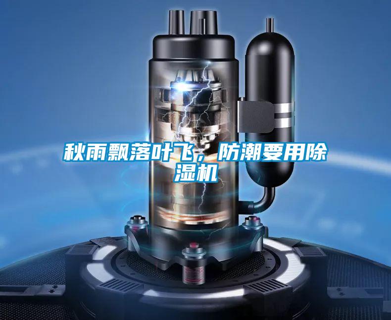 秋雨飄落葉飛，防潮要用除濕機