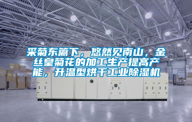 采菊東籬下，悠然見南山，金絲皇菊花的加工生產提高產能，升溫型烘干工業除濕機