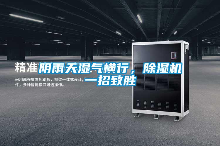 陰雨天濕氣橫行，除濕機一招致勝